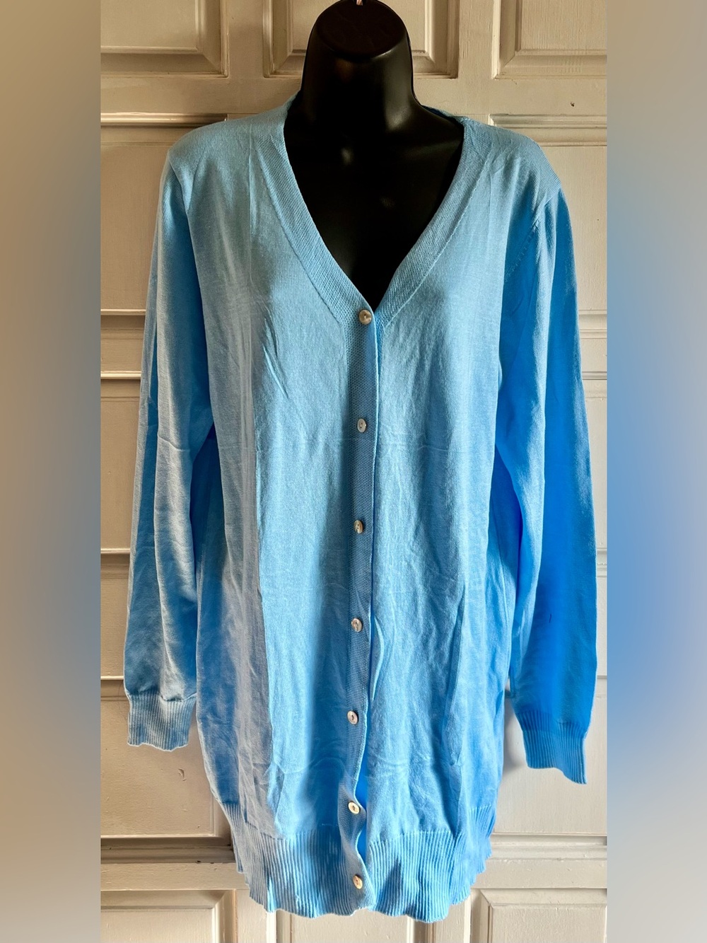 Light Blue V-Neck Button-Front Women's Sweater